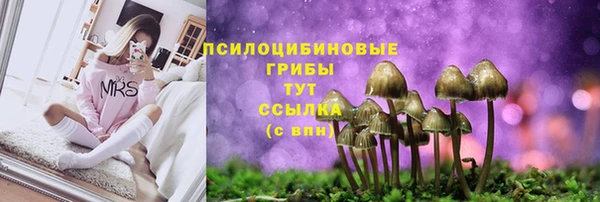 мяу мяу мука Абаза