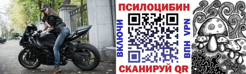 Галлюциногенные грибы Psilocybine cubensis Рассказово