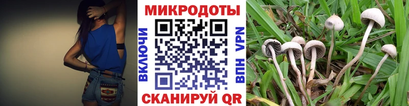 Галлюциногенные грибы мицелий  Рассказово 